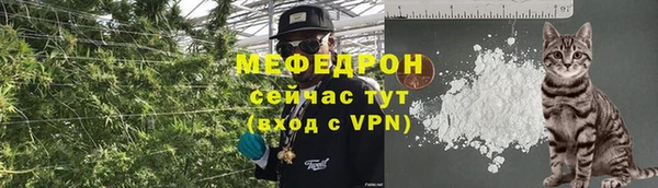 индика Нефтекумск