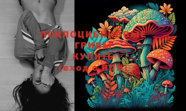 кокс Абинск
